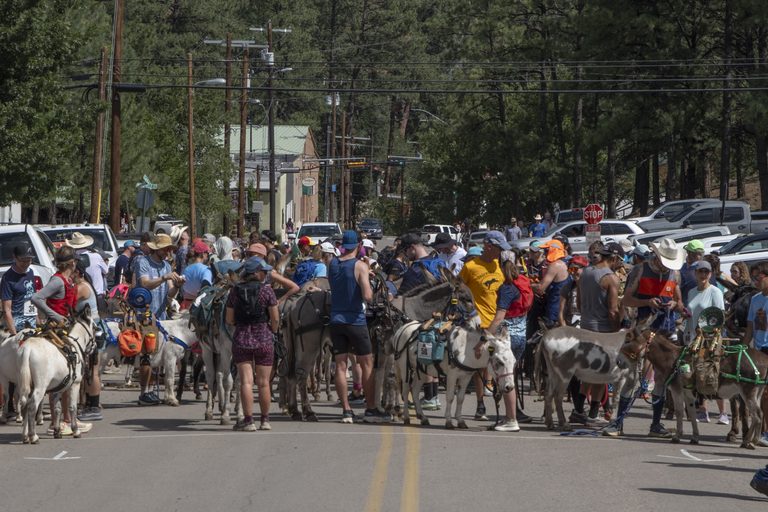 Dozens Gather In Ruidoso For Inaugural Pack Burro Racing Event