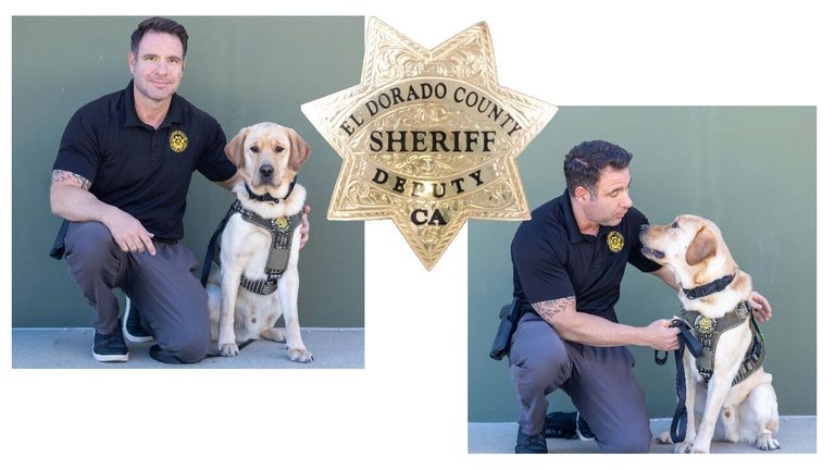 El Dorado County Sheriff S Office Adds K9 Cooper To High Tech Crimes Unit