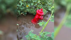 El Reno Finds Source Of Massive Water Leak On Private Property