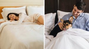 Eucalypso Home Offers 10 Off All Bedding During Usa Today Fall Reset
