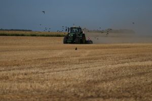 European Drought