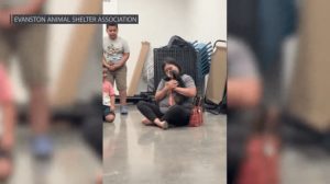 Evanston Family Reunited With Lost Dog After 12 Year Search