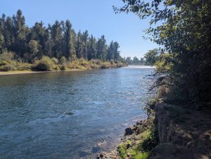 Eweb Clarifies Water Quality After Misleading Online Rating