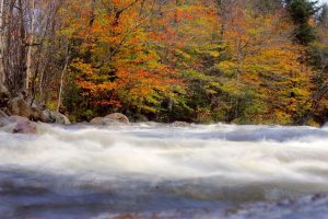 Explore America S Top National Parks For Vibrant Fall Foliage