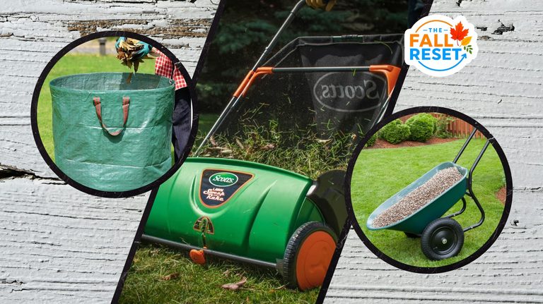 Fall Yard Essentials