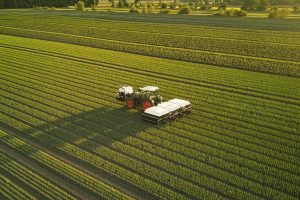 Farm Bots Bring Ai To Fields