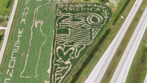 Farm Wisconsin Reopens Corn Maze Sunflower Field