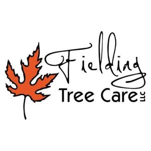 Fielding Tree Care Celebrates 25 Years Serving South Denver Property Owners