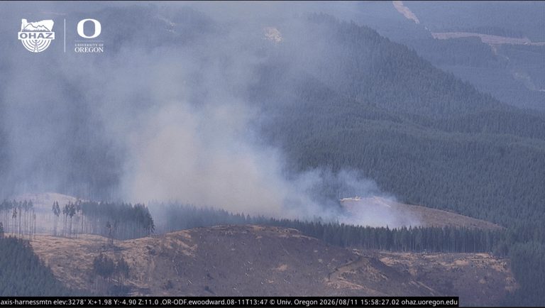 Firefighters Battle Wildfire South Of Cottage Grove