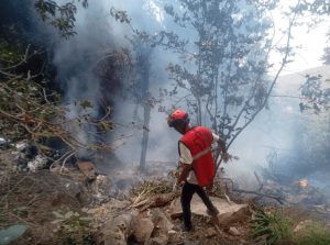Five Americans Including Telemundo Gm Killed In Kenya Helicopter Crash