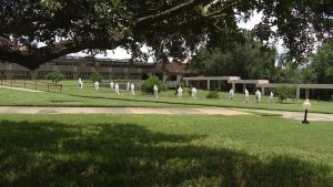 Florida Southern College Aids Citrus Industry