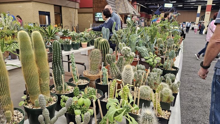 Fort Worth Fall Home Garden Show Offers Plants Art And Free Music