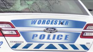 Fox Bites Reported In Worcester Neighborhood