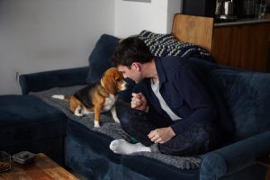 Gene Edited Beagles May Help Dog Allergy Sufferers