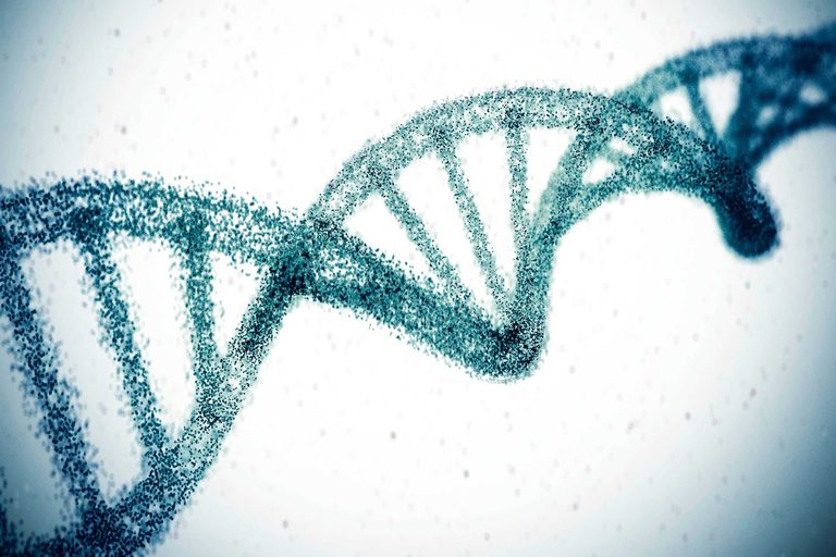 Gene Editing Breakthrough Could Permanently Lower Cholesterol Offering Hope For
