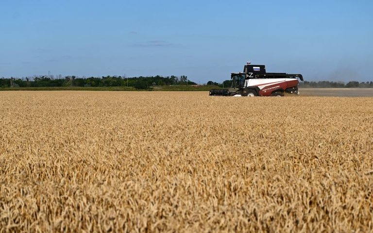 Global Food System Resilient To El Nino