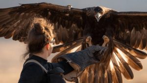 Golden Eagle Expert Dr Lauren Mcgough To Speak At Free Featherside Chat In Jacks