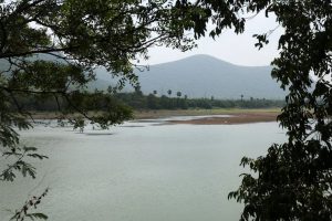 Google S 15B India Data Center Faces Water Wildlife Concerns