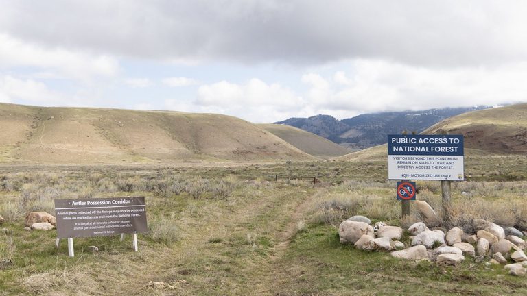 Greater Yellowstone Coalition Hosts Postcard Drives To Oppose Rescission Of Road