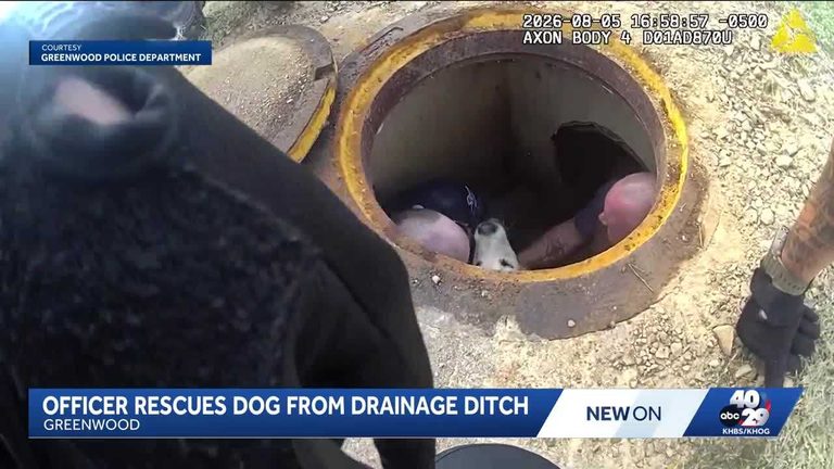 Greenwood Police Rescue Dog