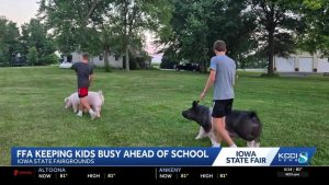 Grinnell Brothers Treat Iowa State Fair Pig Show Like A Super Bowl
