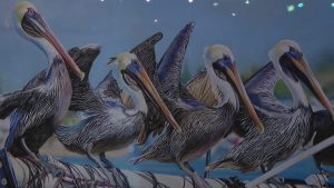 Gulfport Art Gallery Hosts Bird Rescue Fundraiser Exhibition