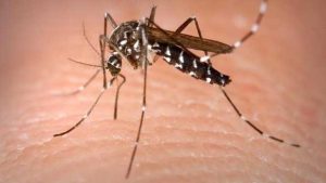 Hamilton County Health Dept Confirms First West Nile Mosquito Positive In 2026