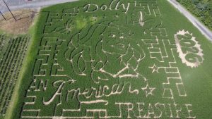 Happy Day Farm In Manalapan Launches Dolly Parton Themed Corn Maze This Septembe
