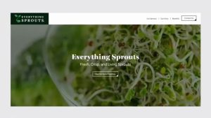 Health Officials Warn Of Salmonella And E Coli Outbreak Linked To Alfalfa Sprout