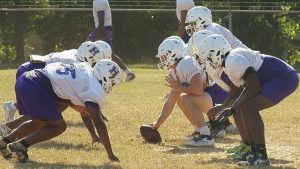 Homer Pelicans Practice At New Field Near Elementary School Community Shows Stro