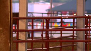 Horse Electrocuted At Kentucky Exposition Center Before State Fair
