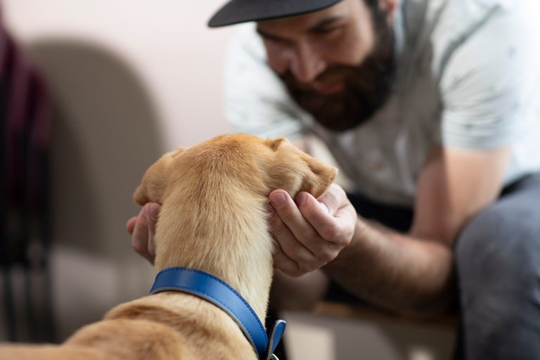 How A Nationwide Network Helps Shelter Pets Find Permanent Homes