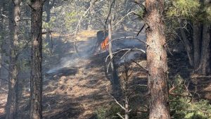 Huerfano County Wildfire