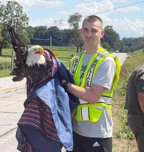 Indiana State Police Trooper Rescues Injured Bald Eagle Near Salem