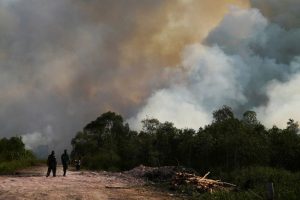 Indonesia Battles Forest Fires