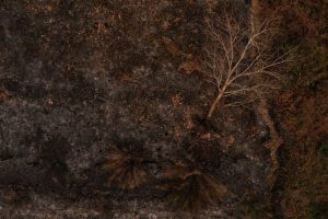 Indonesia Inspects 19 Companies Over Wildfire Concessions Amid Severe Dry Season