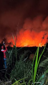 Indonesia Prioritises Kalimantan As Wildfire Hotspots Surge