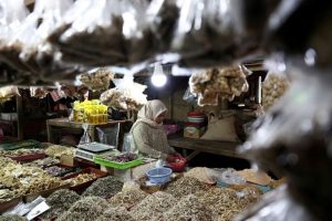 Indonesia S Economy Slows In Q2