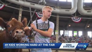 Iowa 4 H Youth Gain Life Skills And Pride At State Fair Barns