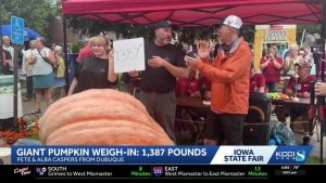 Iowa Pumpkin Grower Wins Second State Fair Competition