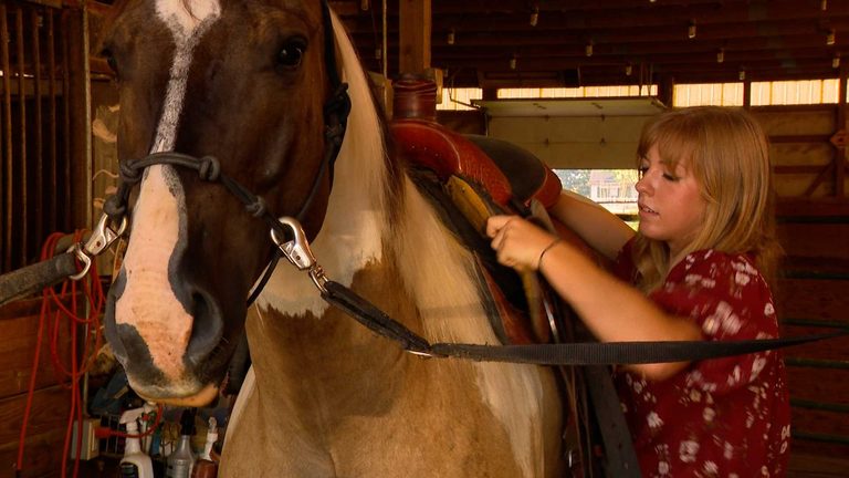 Iowa Teen Trains Horse To Fund College