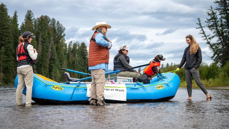 Jackson Hole Celebrates 25 Years Of Snake River Project