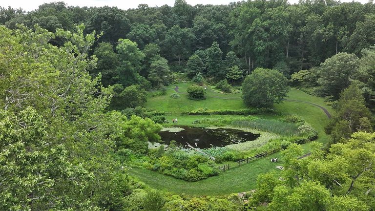 Jenkins Arboretum Gardens In Devon Offers Free Nature Sanctuary For Families