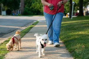 Johnson County Leash Laws