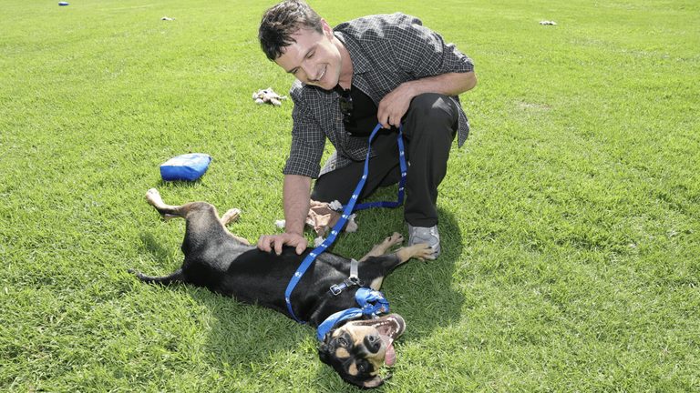 Josh Hutcherson Visits Long Beach Spca To Promote Pet Adoptions