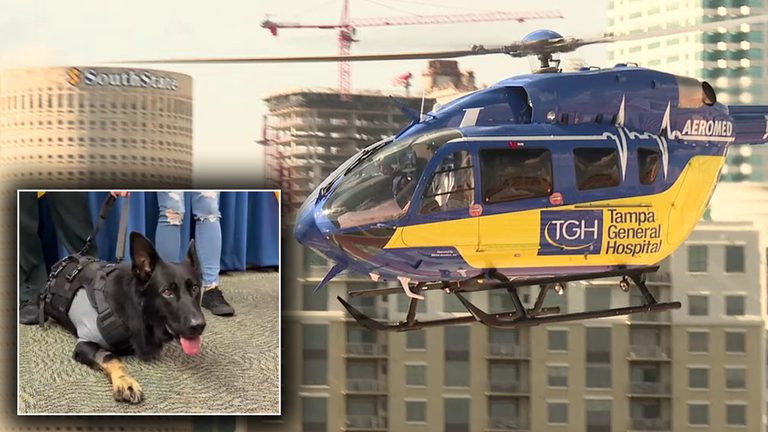 K9 Ace Saved By Tampa General Aeromed