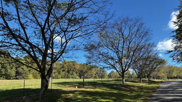 Kings Mountain State Park Set To Grow By Nearly 600 Acres In York County