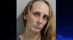Lakeland Woman Arrested After Fleeing Into Home During Deputy Warrant Check