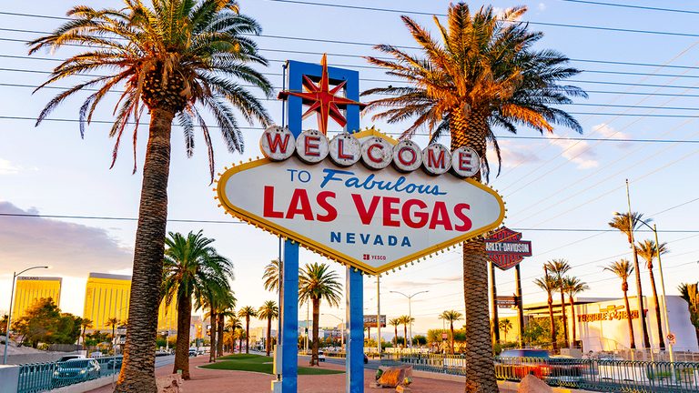 Las Vegas Vacation Turns Chaotic