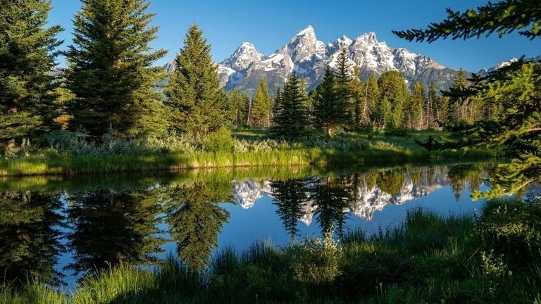 Late Summer Wildlife And Adventure In Jackson Hole Wyoming